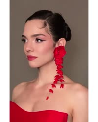 Медо сас-1755958608315-0.mp4