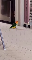VID20250810222523133.mp4
