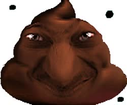 shit.webm
