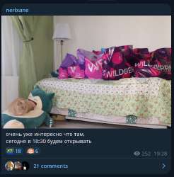 1755174748298.png