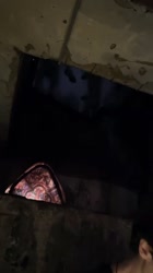 111.mp4