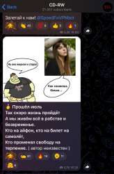 IMG2756.jpeg