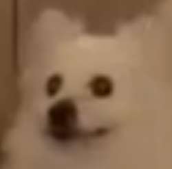 17549437759650.png