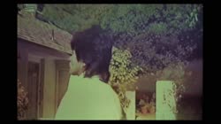 4545646.mp4