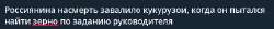 зерон.png
