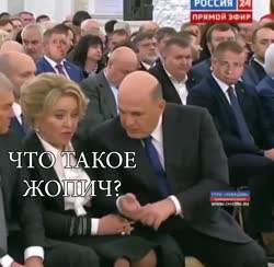 16669599880931.webm