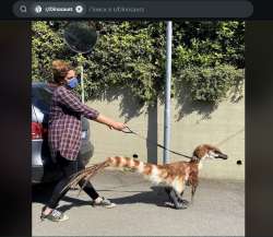 1703490071611.png