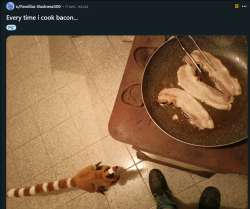 1696888599014.png