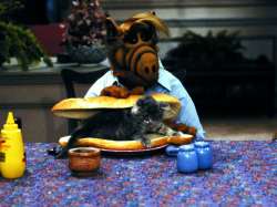 IMG20250620132520325.jpg