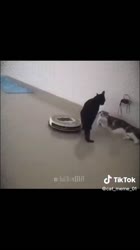1755263663084.mp4