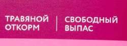 17552644887330.png