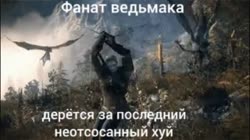 fanat.gif.mp4