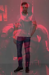 THE NORMAN SHADOW OF FLAWLESS VICTORY.mp4
