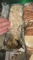 video2025-08-1519-16-52.mp4