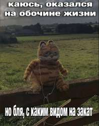 .jpg