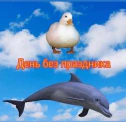 17553315282690.jpg