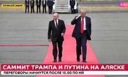 1755285470016.jpg