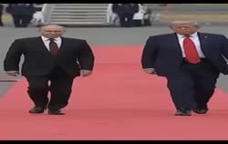 156754333365756.mp4