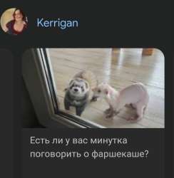 Screenshot20250816142508Chrome.jpg