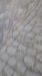 1690610324280.mp4