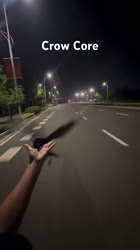 1716144495629.mp4