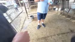 IMG8357 (online-video-cutter.com).mp4