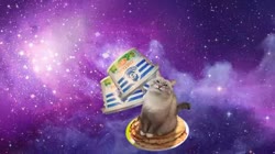 17529012301820.webm