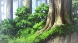 17553726791470.webm