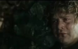 .MP4