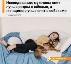 изображение.png