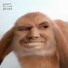 kroll.mp4