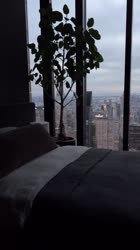 17531991119910.mp4