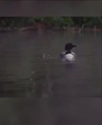 1256433345645.mp4