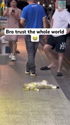 1755434292406.mp4