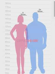 17554301187730.webp