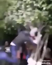 -157465208168214430.mp4