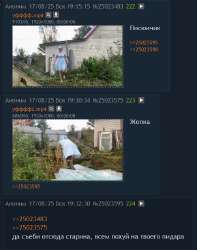 гилти тред.png
