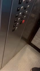 17250117339471.mp4