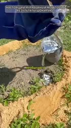 НАСТОЯЩИЙ МУРАВЬИНЫЙ МЕГАПОЛИС РЕЗУЛЬТАТЫ ШОКИРУЮТ.mp4