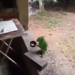 VID20250810221735980.mp4