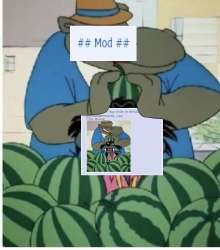 1755531738903.png