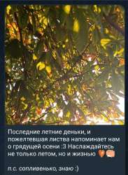 Screenshot20250818211348Telegram.jpg