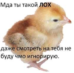 1456142095139983570.jpg
