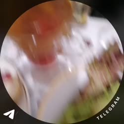 -8019373224442886443.mp4