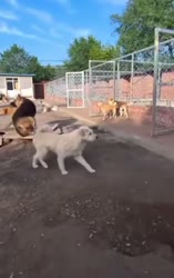 1755551168488827.webm