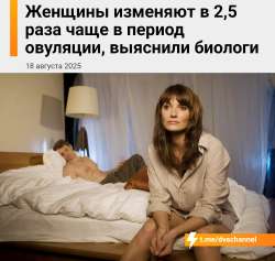 17555368965710.jpg