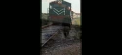 1755597646478643.webm