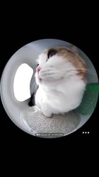video2025-08-1917-52-28.mp4