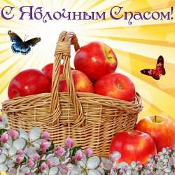 IMG20250819180455219.jpg
