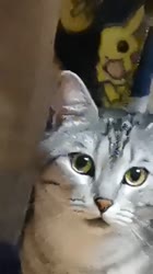 1616098274959.mp4